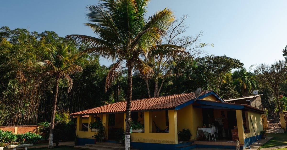 Casa térrea com telhado de telha cercada por árvores
